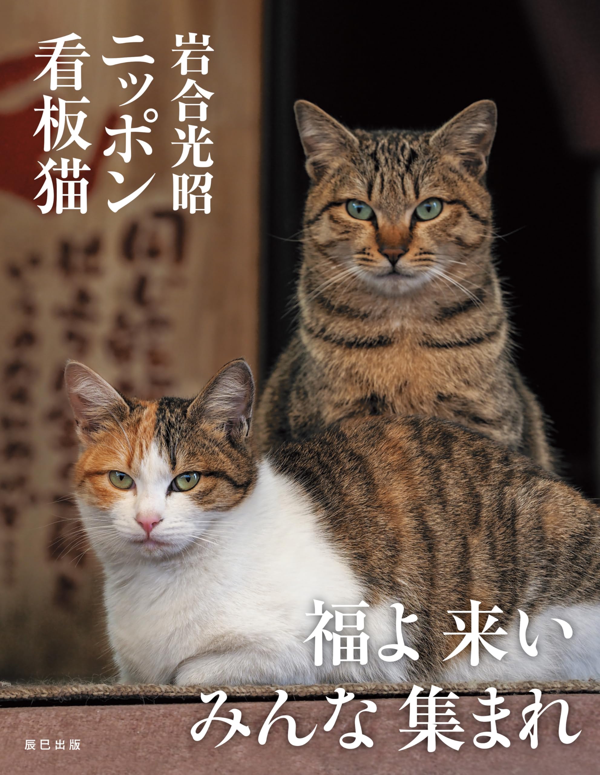 岩合光昭 ニッポン看板猫 | 岩合光昭 |本 | 通販 | Amazon